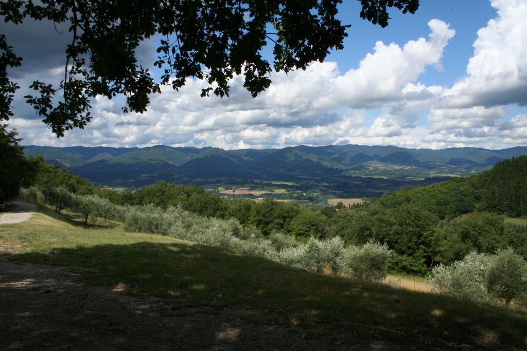 Podere Capitignano Villa Borgo San Lorenzo Exterior foto