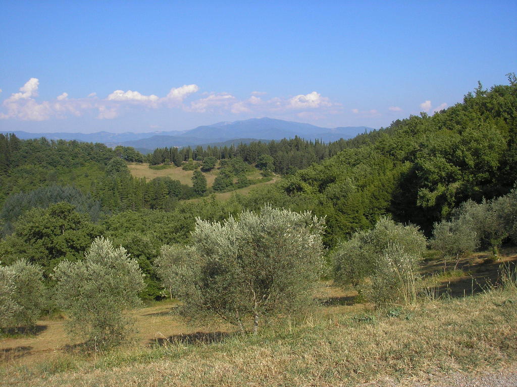 Podere Capitignano Villa Borgo San Lorenzo Exterior foto